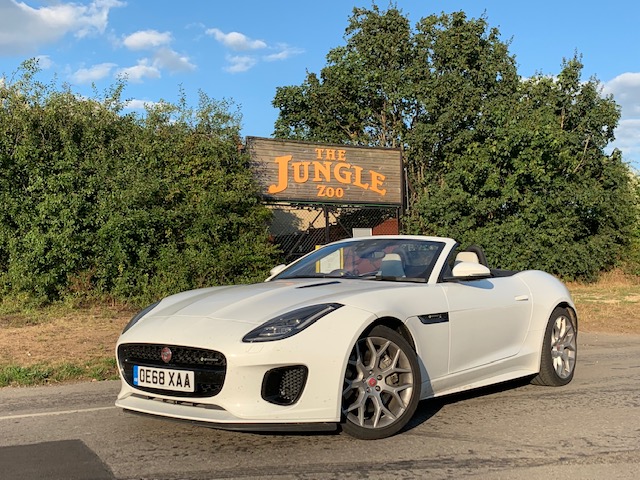 Jaguar F-Type Convertible R-Dynamic road test report and review: