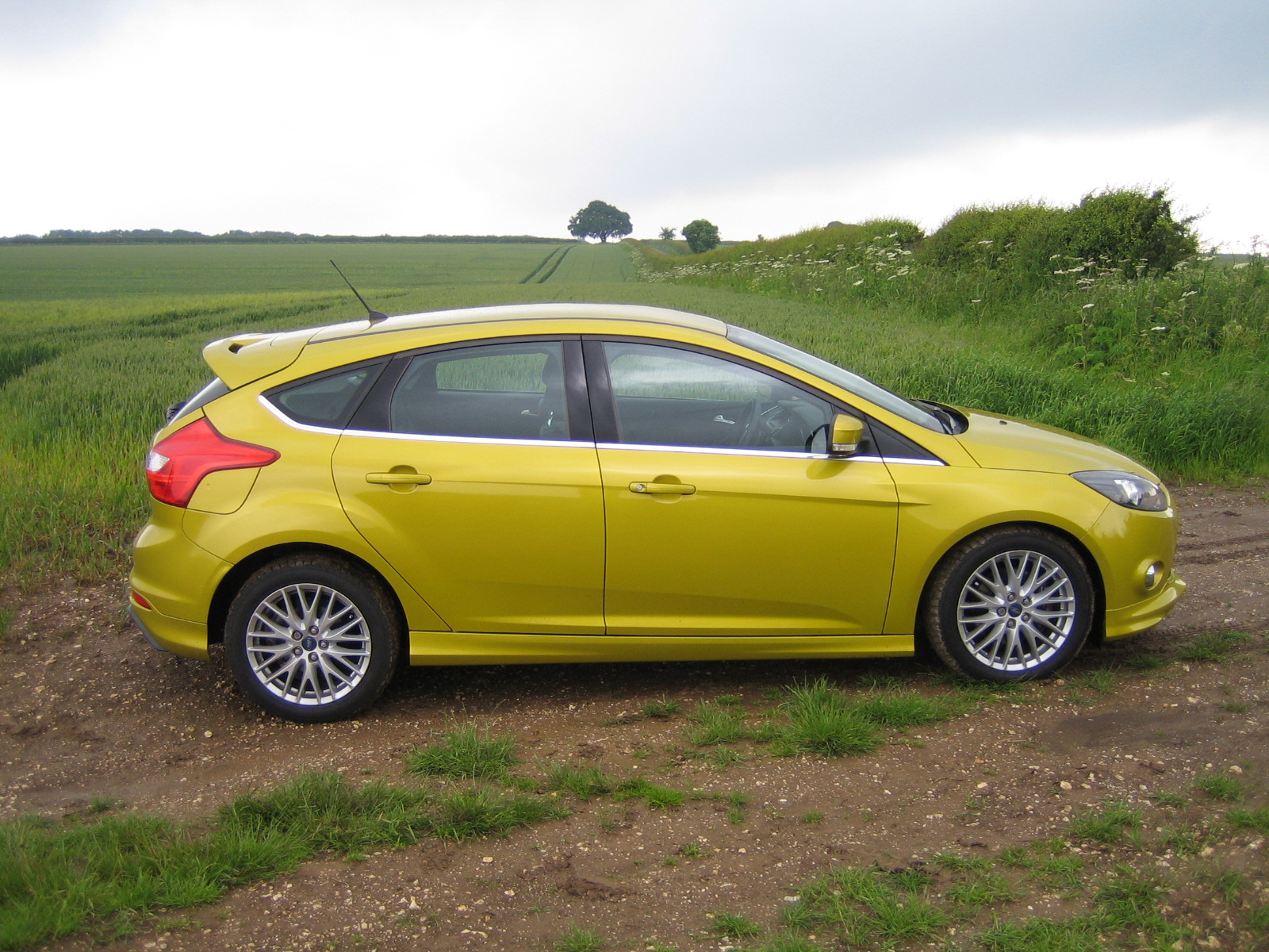 Ford focus lemons #6